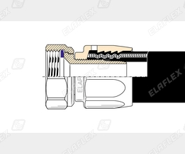 M19-1 Cr Schnitt