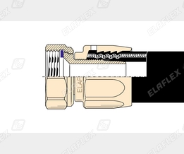 M19-1 Ms Schnitt