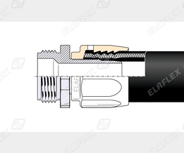 V19-1 SS Schnitt
