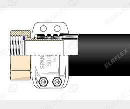 MC50-2 NPSH Ms Schnitt MC50-2 NPSH Ms Schnitt