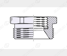 RS1x1 1-2 SS Form1 Schnitt