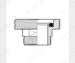 RN-R SS Special Type