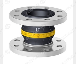 ERV-G LT80-16