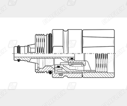 CSB21 Schnitt